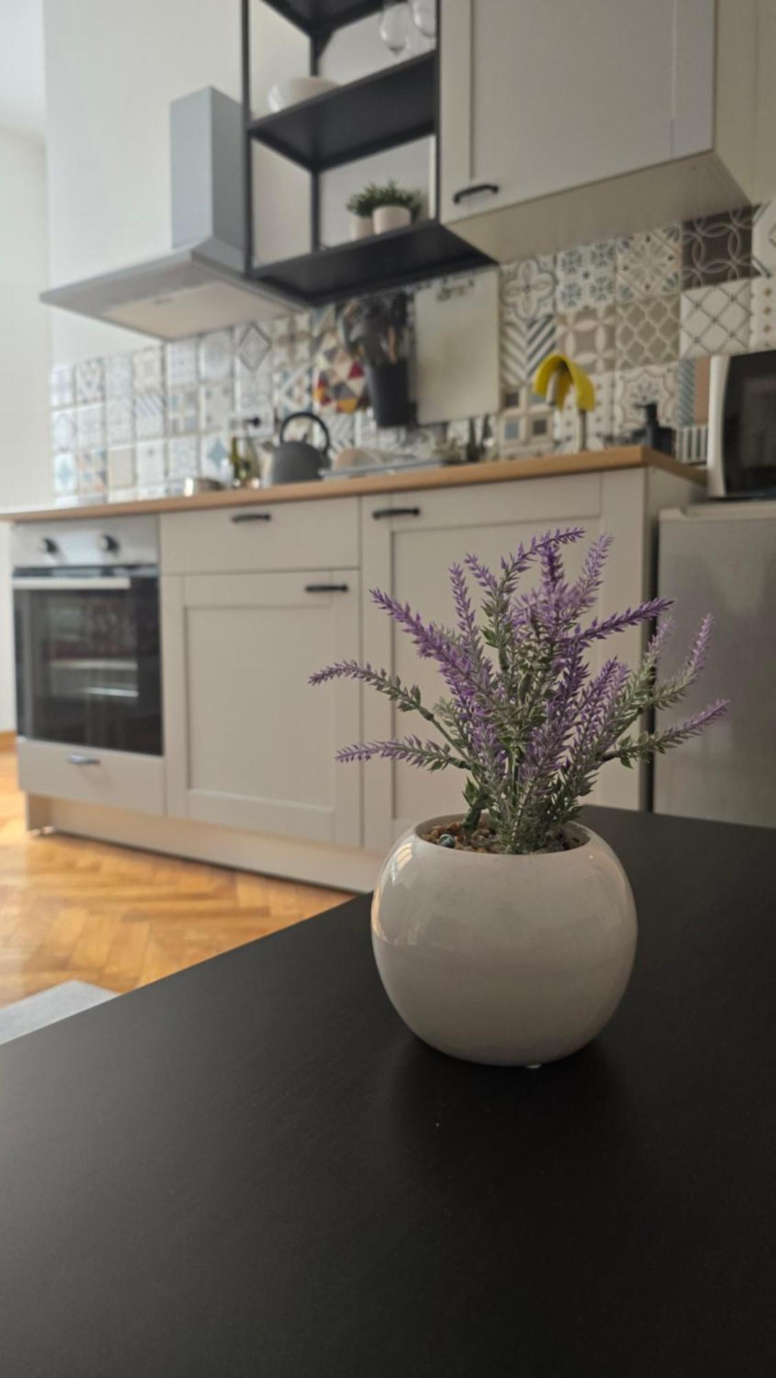 Apartment Major Beograd Eksteriør bilde
